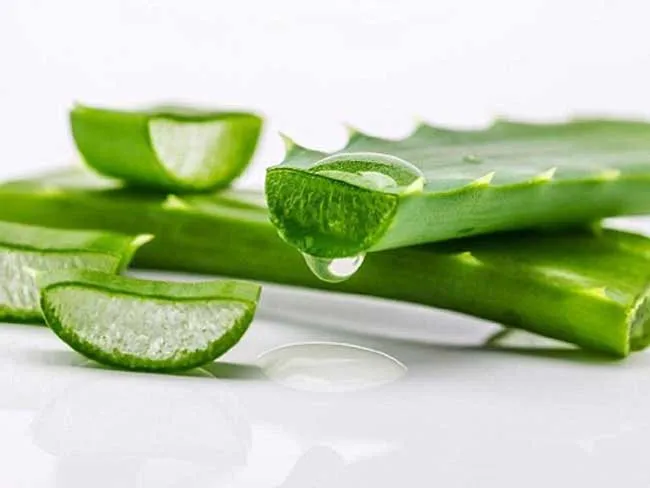 13 phương pháp hỗ trợ làm sạch mụn cóc hiệu quả và thân thiện với làn da