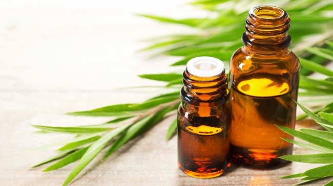 15 cách hỗ trợ làm sạch mụn đầu đen tại nhà từ nguyên liệu thiên nhiên 9