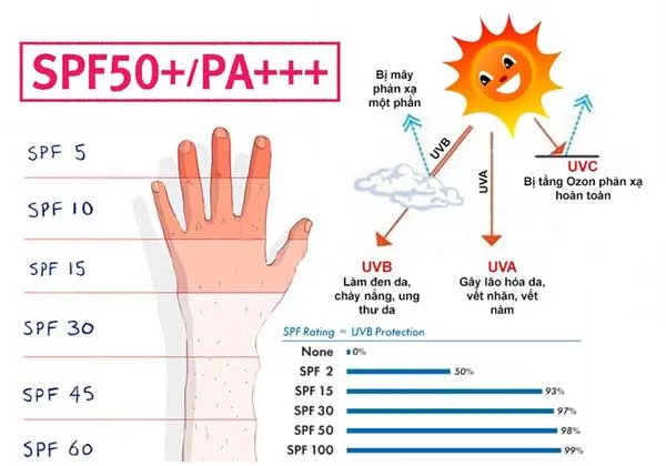 Phân loại các dạng kem chống nắng phổ biến hiện nay