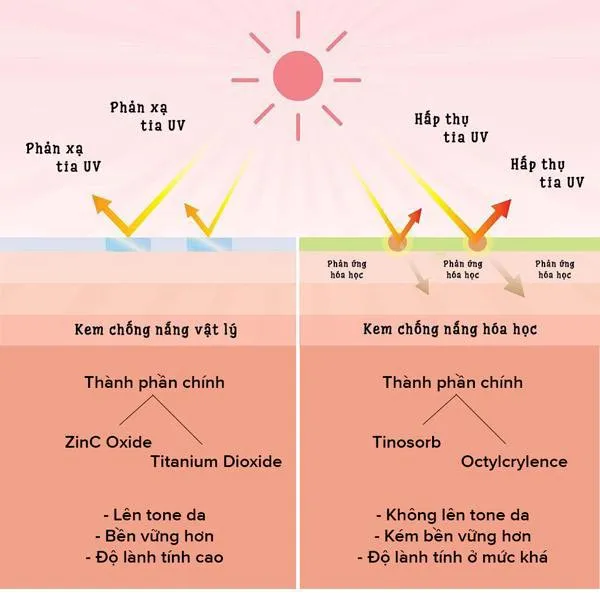 Phân loại các dạng kem chống nắng phổ biến hiện nay