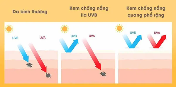 7 cách chọn kem chống nắng cho da dầu nhờn uy tín
