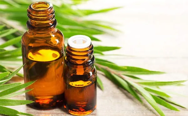 Top 10 cách hỗ trợ làm sạch mụn cám tại nhà từ các nguyên liệu thiên nhiên