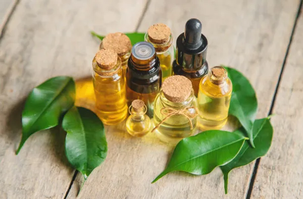 15 cách hỗ trợ làm sạch mụn tại nhà hiệu quả sau 1 đêm ai cũng làm được 3