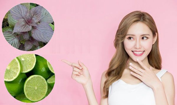 Gợi ý 3 cách xông mặt bằng lá tía tô giúp sáng da và hỗ trợ làm sạch mụn cực đơn giản