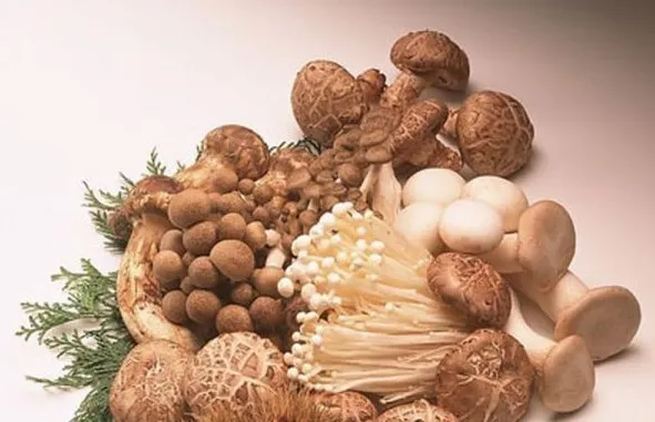 32 món ăn giảm cân cấp tốc tại nhà thân thiện với làn da và hiệu quả