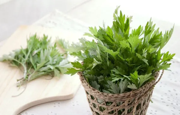 Ăn gì để khử mùi cơ thể? Top 10 thực phẩm giúp cơ thể thơm tự nhiên