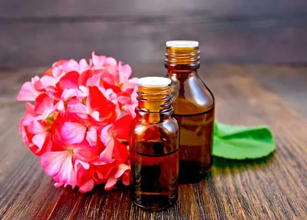 12 cách trị rụng tóc từ thiên nhiên hiệu quả và thân thiện với làn da tại nhà