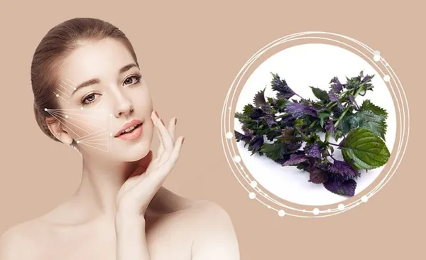 Nám chân sâu là gì? 15 cách trị nám chân sâu tại nhà hiệu quả 9