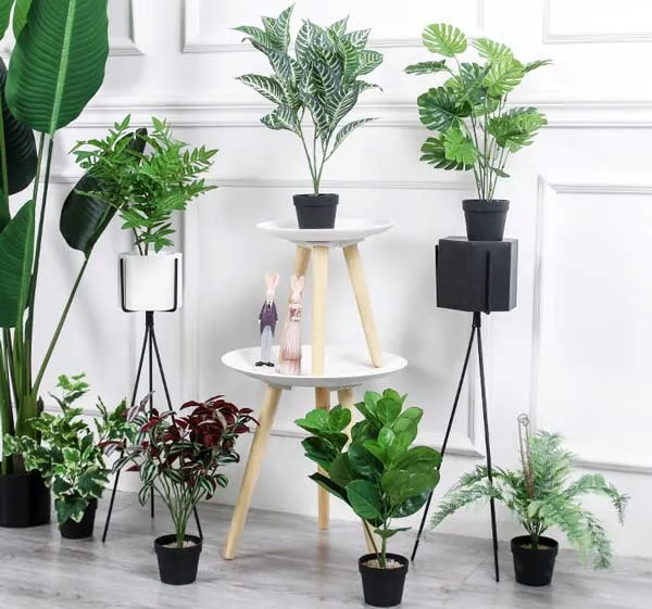 Top 21+ quà tặng 20/10 cho mẹ vợ ý nghĩa và rất thiết thực