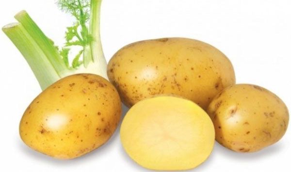 Top 15 cách làm trắng da tay tại nhà nhanh chóng và hiệu quả
