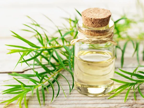 Top 11 cách hỗ trợ làm sạch mụn lưng nam nhanh chóng hiệu quả trong 1 tuần 6