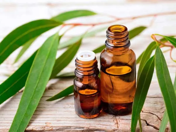 11 Cách hỗ trợ làm sạch mụn thâm ở mông từ thiên nhiên hiệu quả tại nhà