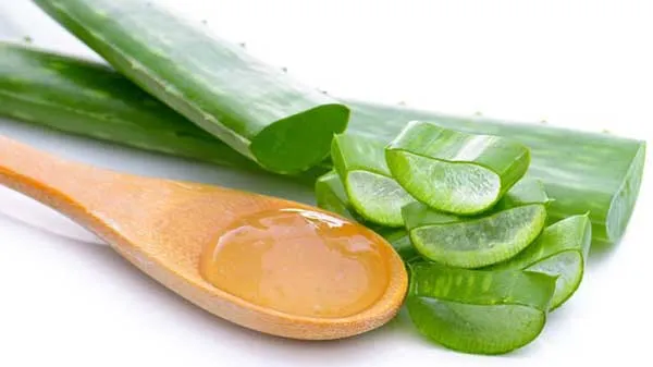 7 Cách trị thâm vùng kín từ thiên nhiên hiệu quả tại nhà - 4