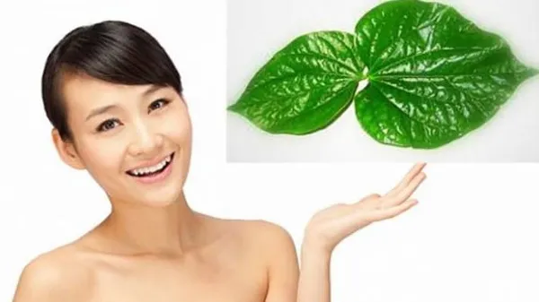 Top 11 cách triệt lông nách vĩnh viễn tại nhà cho nữ đơn giản 4