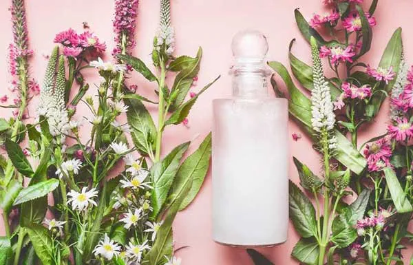 Dầu gội organic là gì? Top 9 loại dầu gội hữu cơ chất lượng tốt