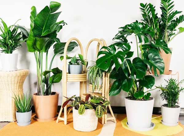 Gợi ý 12 món quà tặng đối tác cuối năm độc đáo và ý nghĩa