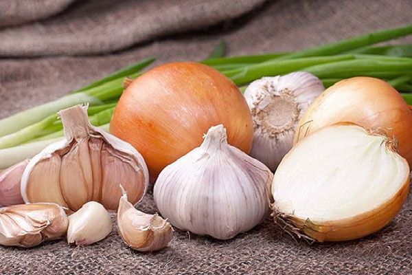 Top 11 cách chữa hôi miệng giúp cải thiện đáng kể điểm đơn giản tại nhà