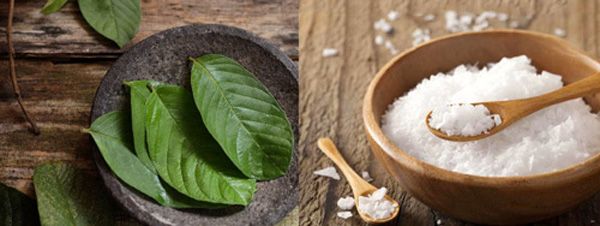 Top 11 cách chữa hôi miệng giúp cải thiện đáng kể điểm đơn giản tại nhà