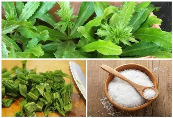 Top 11 cách chữa hôi miệng giúp cải thiện đáng kể điểm đơn giản tại nhà