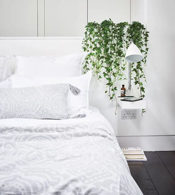 Top 20 cách làm thơm tủ quần áo đơn giản bất chấp thời tiết