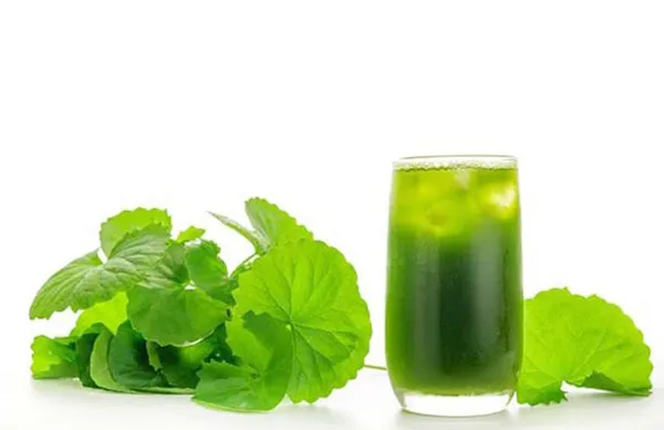 Top 11+ cách trị rôm sảy ở người lớn cải thiện nhanh giúp cải thiện đáng kể điểm tại nhà 6