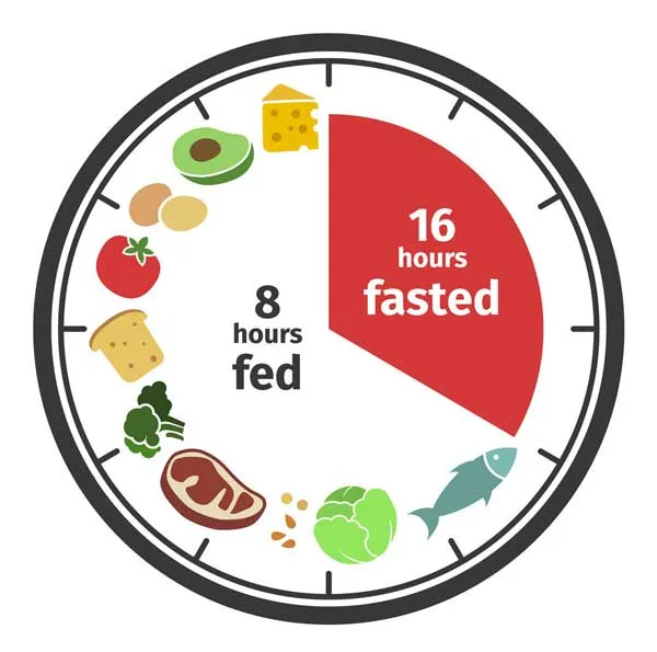 Ăn kiêng 8 giờ là gì? Cách nhịn ăn gián đoạn 16/8 giảm cân nhanh - 1
