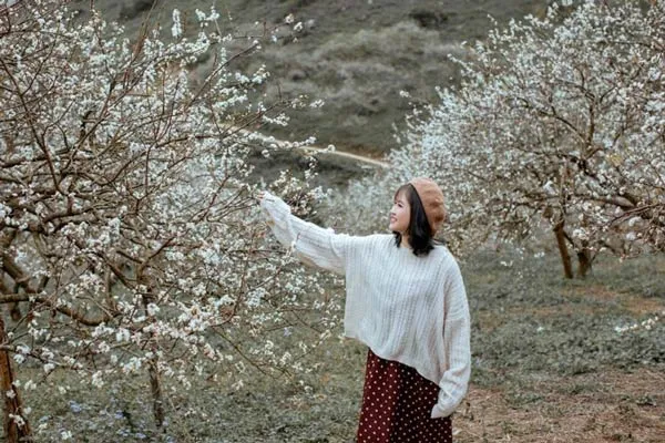 5 cách tạo dáng chụp ảnh với hoa đào, hoa mai “triệu like”