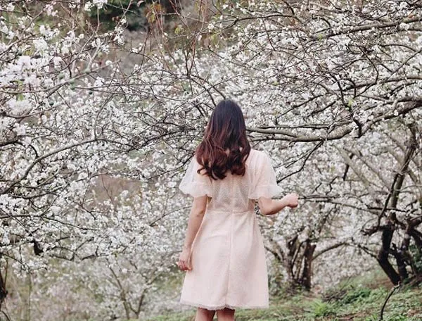 5 cách tạo dáng chụp ảnh với hoa đào, hoa mai “triệu like”