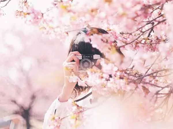 5 cách tạo dáng chụp ảnh với hoa đào, hoa mai “triệu like”