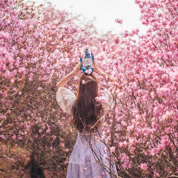 5 cách tạo dáng chụp ảnh với hoa đào, hoa mai “triệu like”