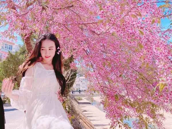 5 cách tạo dáng chụp ảnh với hoa đào, hoa mai “triệu like”