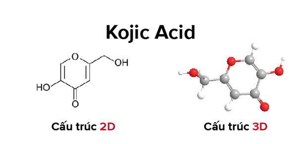 Kojic Acid là gì? Lợi ích và cách sử dụng để làm sáng da