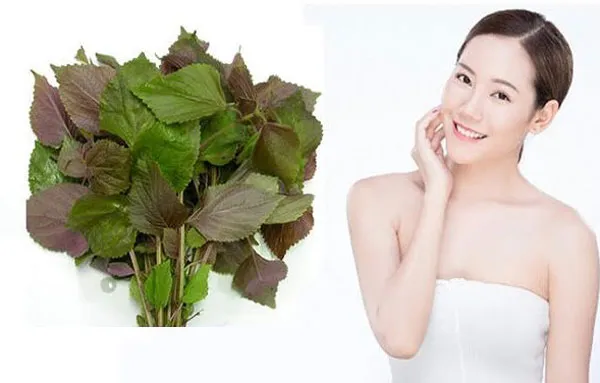 Hướng dẫn 6 cách hỗ trợ làm sạch mụn thịt quanh mắt giúp cải thiện đáng kể điểm tại nhà 7