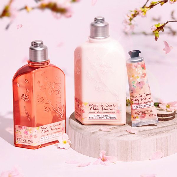 Sữa Dưỡng Thể L'Occitane Cherry Blossom Shimmered Lotion 250ml Phiên Bản Giới Hạn - Mỹ phẩm - Vua Hàng Hiệu