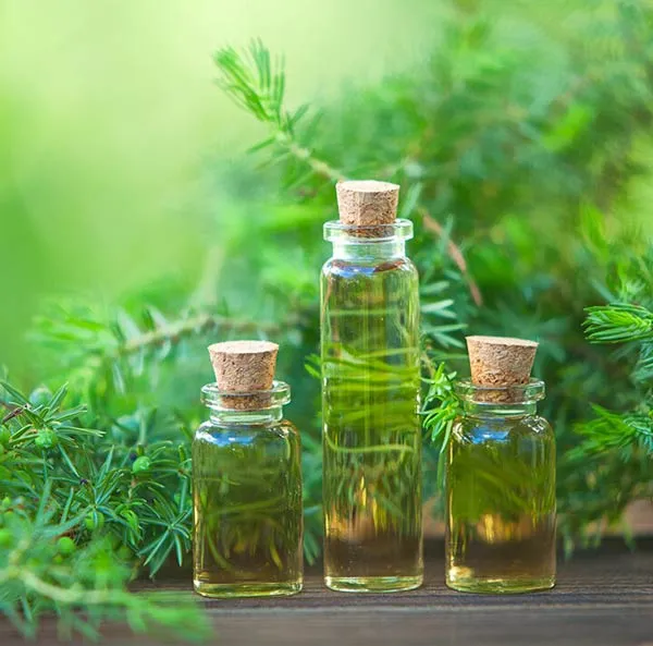 Hướng dẫn 3 cách xông hơi mặt hỗ trợ làm sạch mụn làm sạch da tại nhà - 9