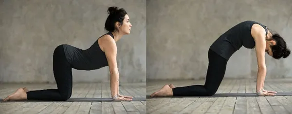 10 bài tập yoga giảm mỡ bụng hiệu quả chỉ mất 5 phút mỗi ngày - 8