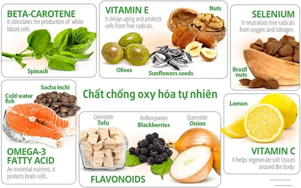 Antioxidants là gì? Top 10 mỹ phẩm chống oxy hóa chất lượng tốt cho làn da - 17
