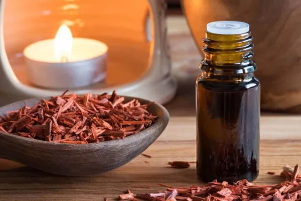 Top 10 nước hoa mùi gỗ đàn hương ấm áp được yêu thích