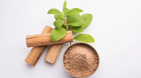Top 10 nước hoa mùi gỗ đàn hương ấm áp được yêu thích