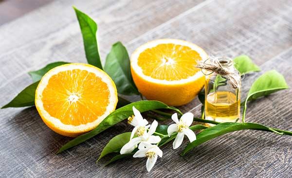 Top 12 chai nước hoa Orange Blossom mùi hoa cam ngọt mát - 1