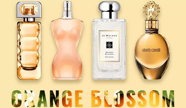 Top 12 chai nước hoa Orange Blossom mùi hoa cam ngọt mát - 15