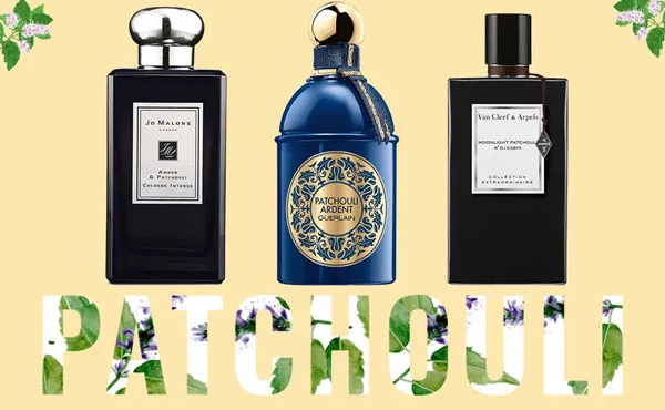 Top 12 loại nước hoa mùi hoắc hương rất thơm