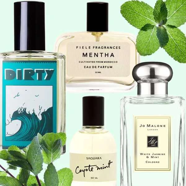 Top 8 chai nước hoa mùi bạc hà thơm mát cho nam giới