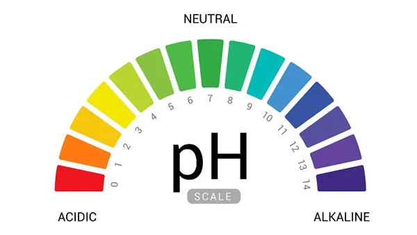 Top 11+ sữa rửa mặt PH 5.5 dịu nhẹ thân thiện với làn da cho da khô