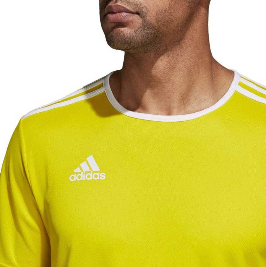 Top 15 áo thun Adidas chính hãng cập nhật trendy năm 2025