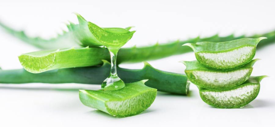 9 Cách sử dụng nha đam hỗ trợ làm sạch mụn hiệu quả tại nhà