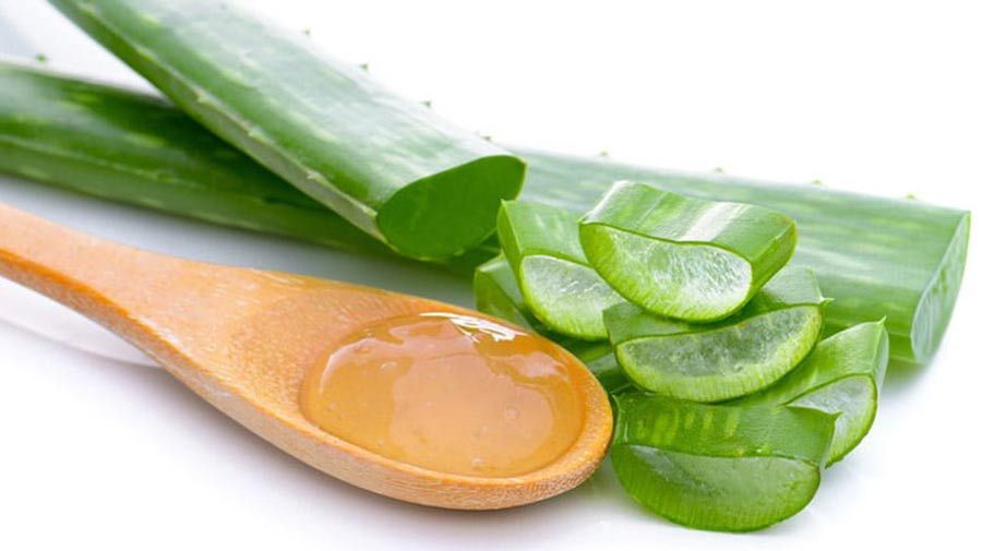 9 Cách sử dụng nha đam hỗ trợ làm sạch mụn hiệu quả tại nhà