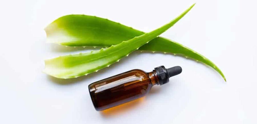 9 Cách sử dụng nha đam hỗ trợ làm sạch mụn hiệu quả tại nhà