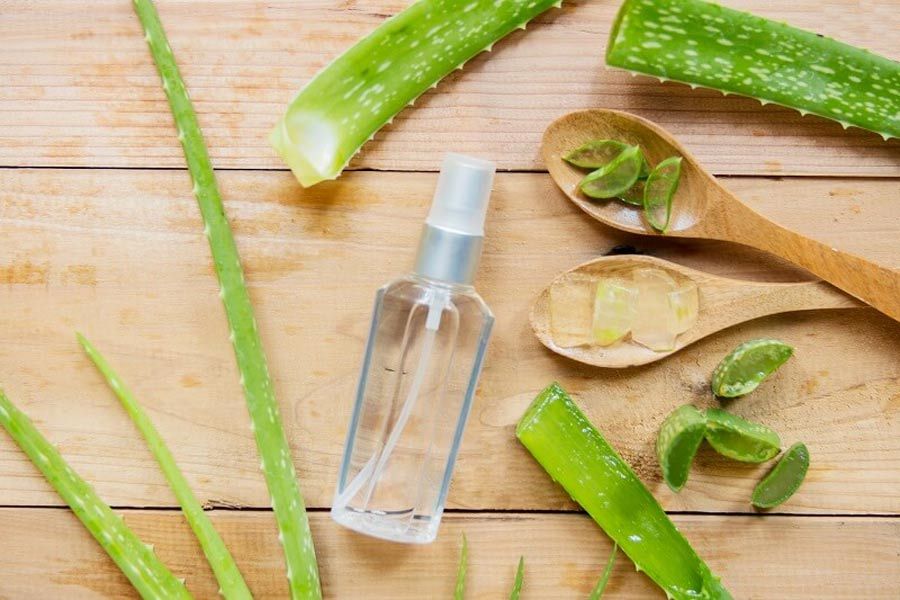 9 Cách sử dụng nha đam hỗ trợ làm sạch mụn hiệu quả tại nhà