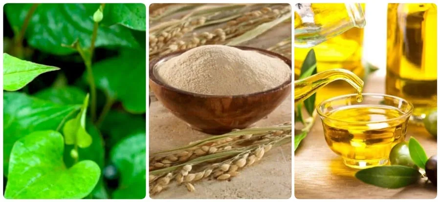 5 cách hỗ trợ làm sạch mụn bằng rau diếp cá hiệu quả tại nhà